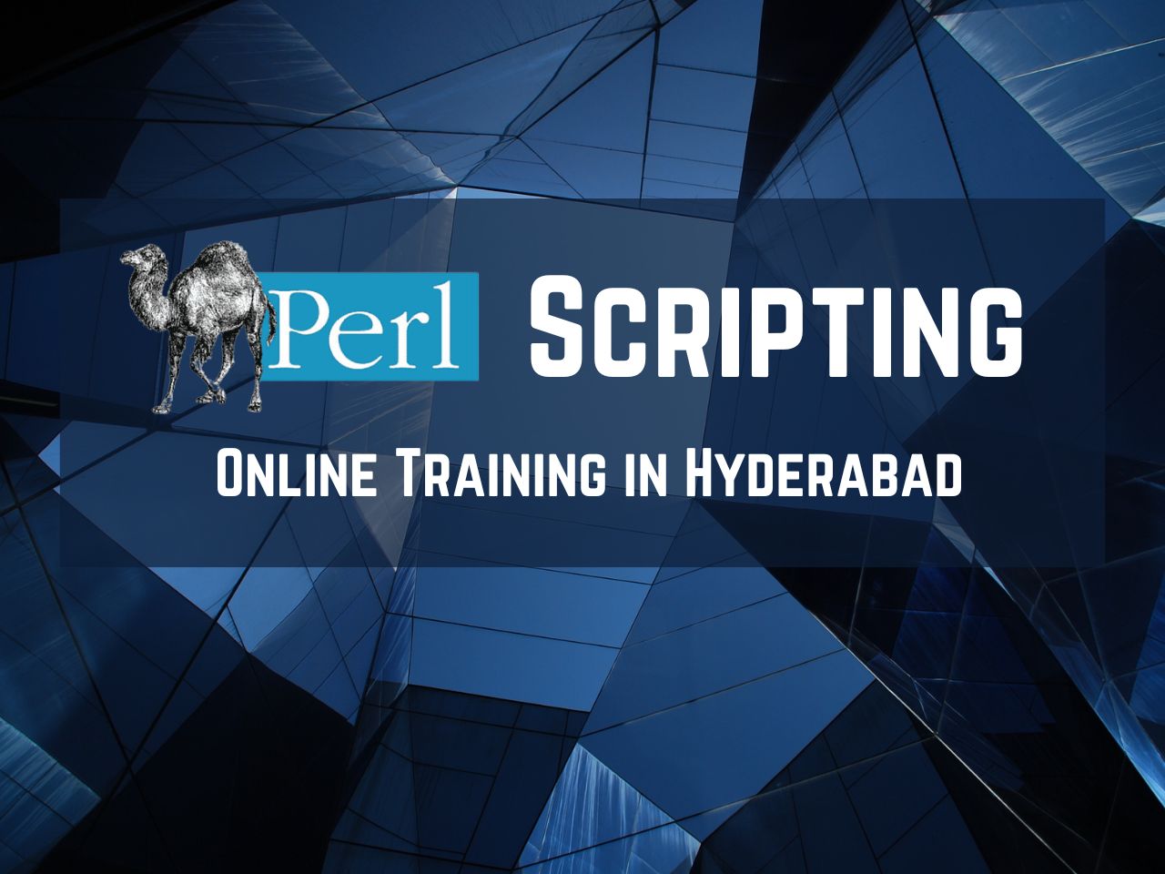 Perl Scripting Online Training from India