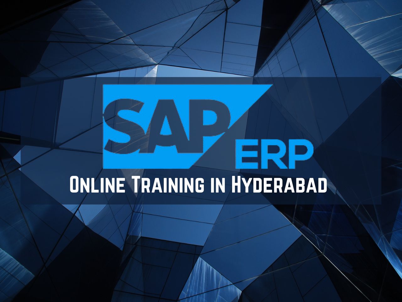 Sap Erp Online Training from India